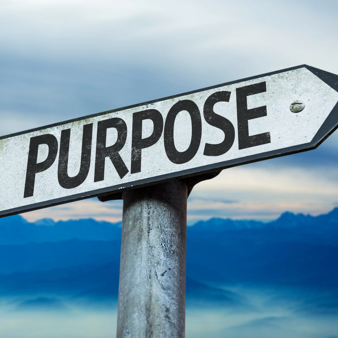purpose 1x1 sign purpose-driven life, purpose-driven church, purpose-driven wellness entrepreneur business purpose purpose of life